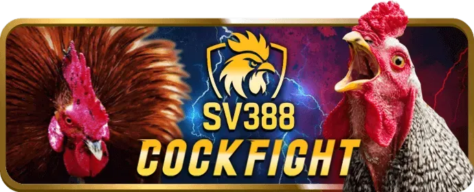 Jun88bet casino trên điện thoại di động